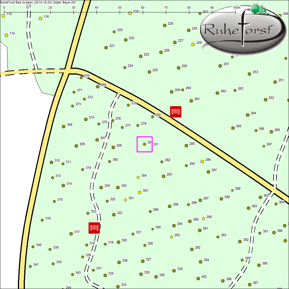 Detailkarte zu Baum 281