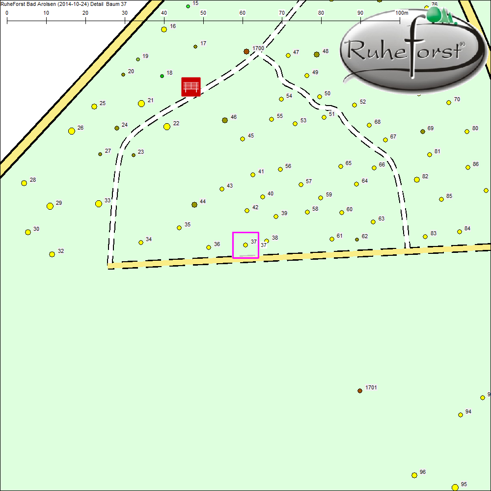 Detailkarte zu Baum 37