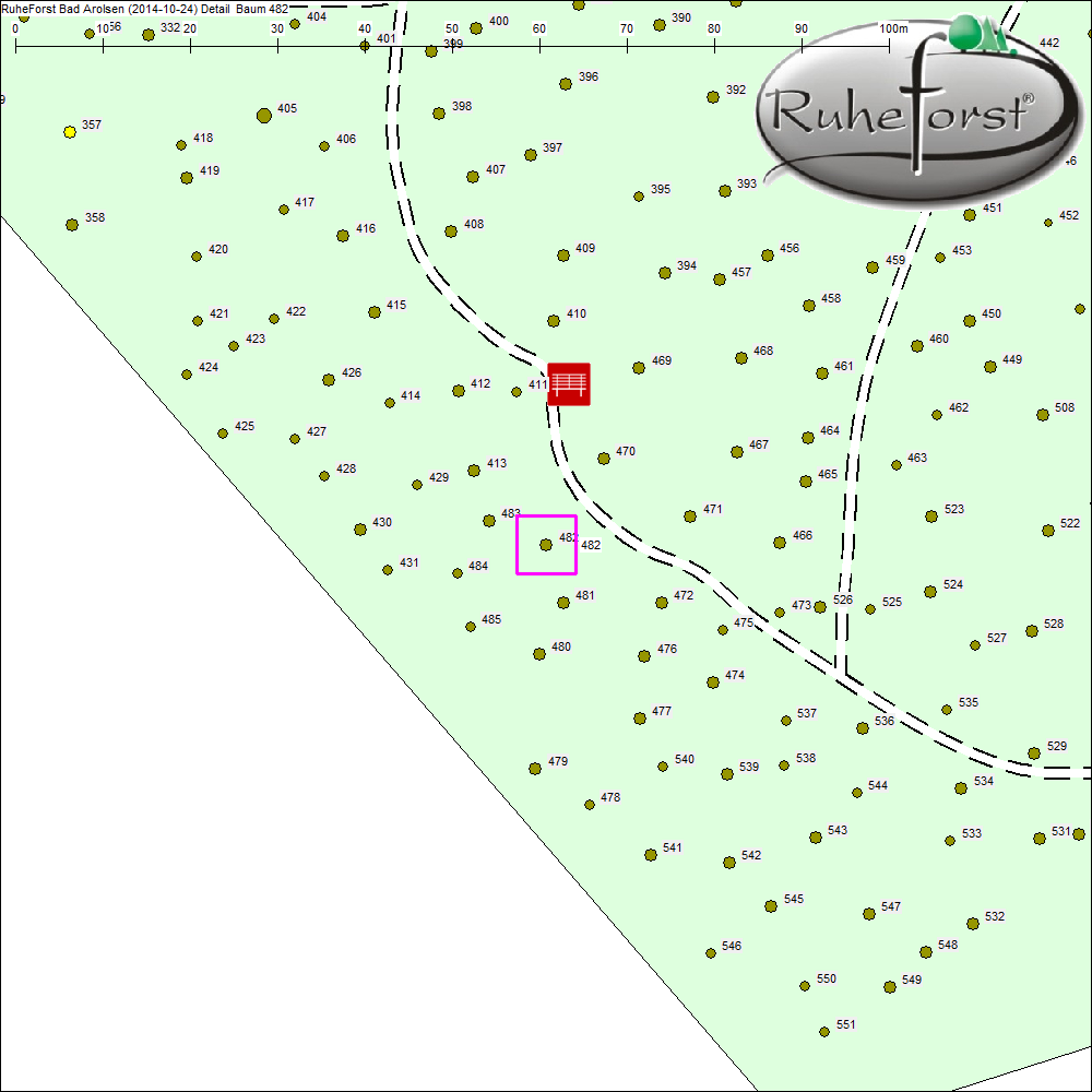 Detailkarte zu Baum 482