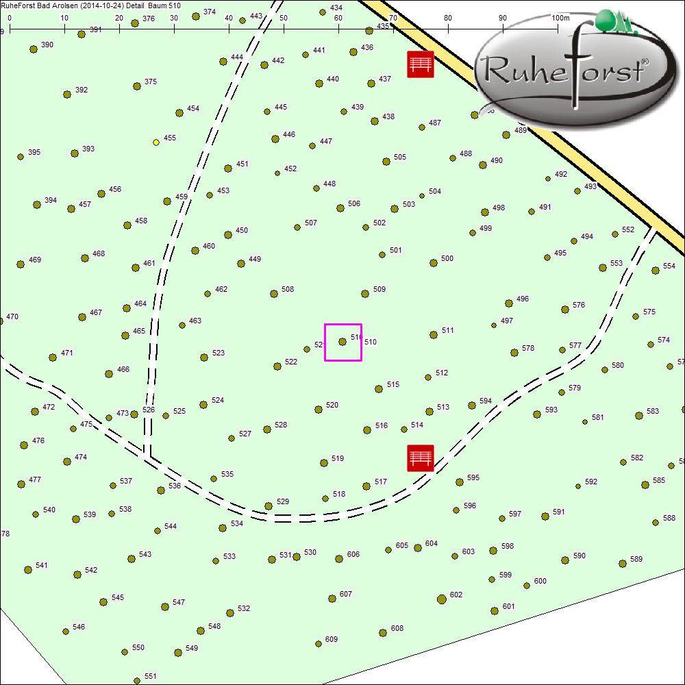 Detailkarte zu Baum 510
