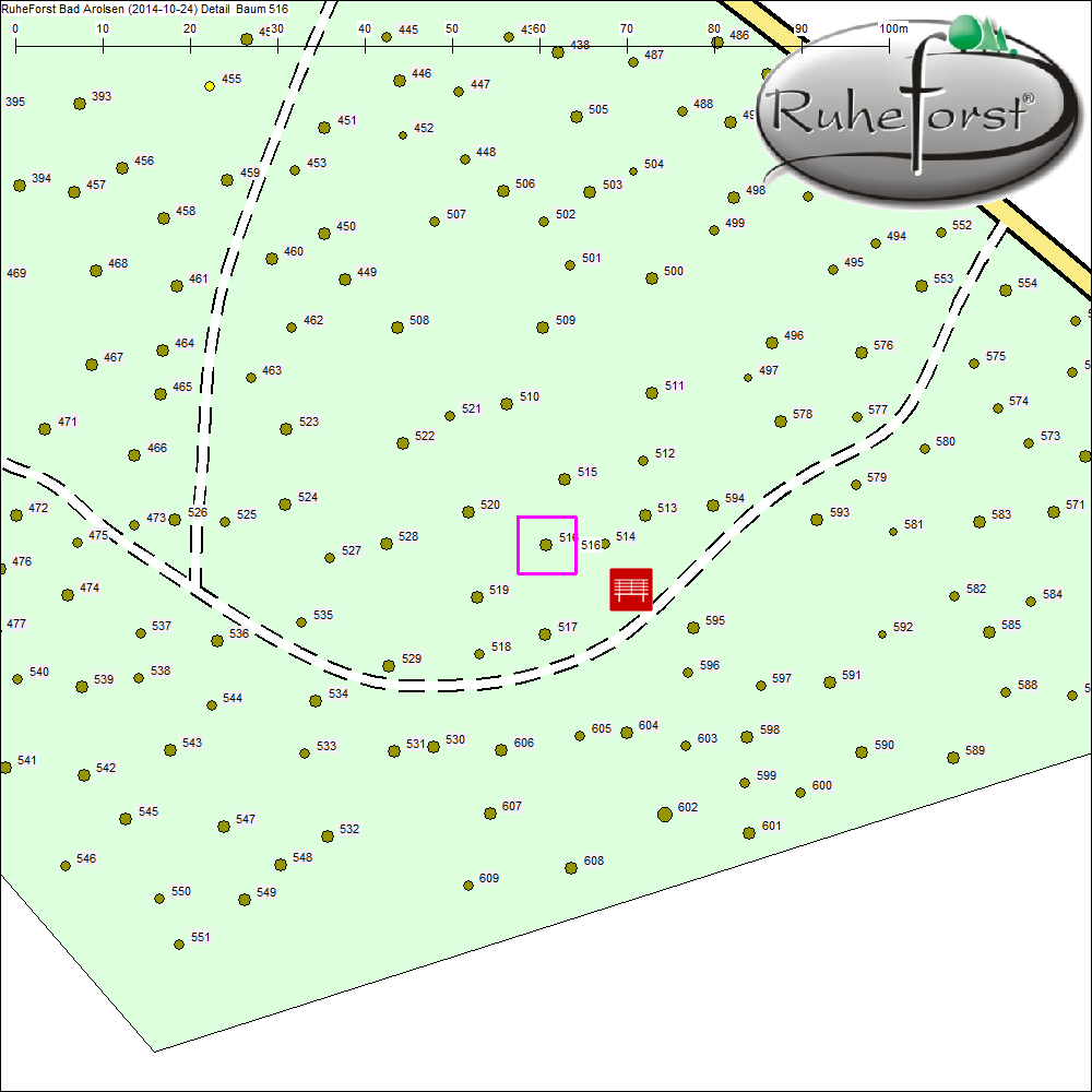Detailkarte zu Baum 516