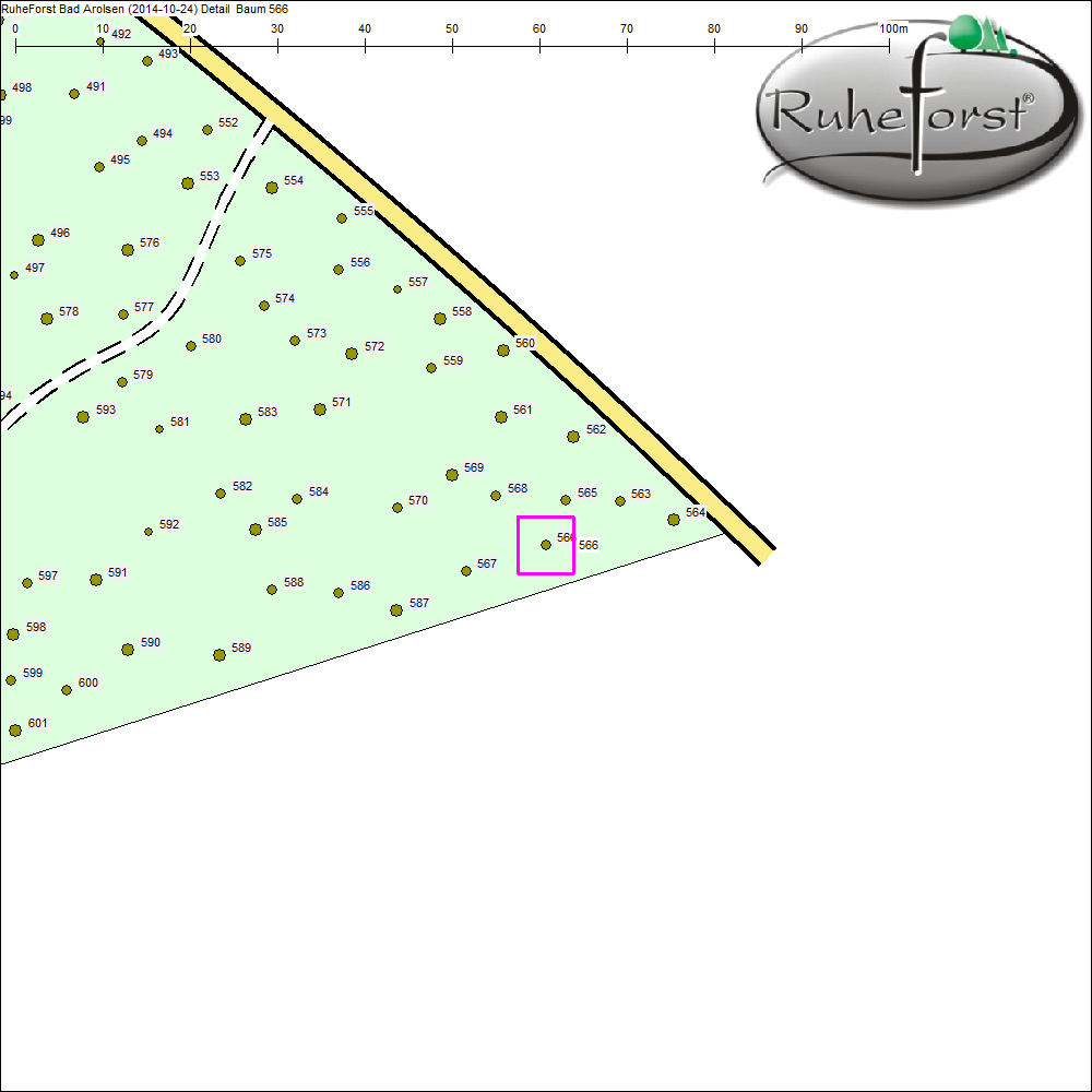 Detailkarte zu Baum 566