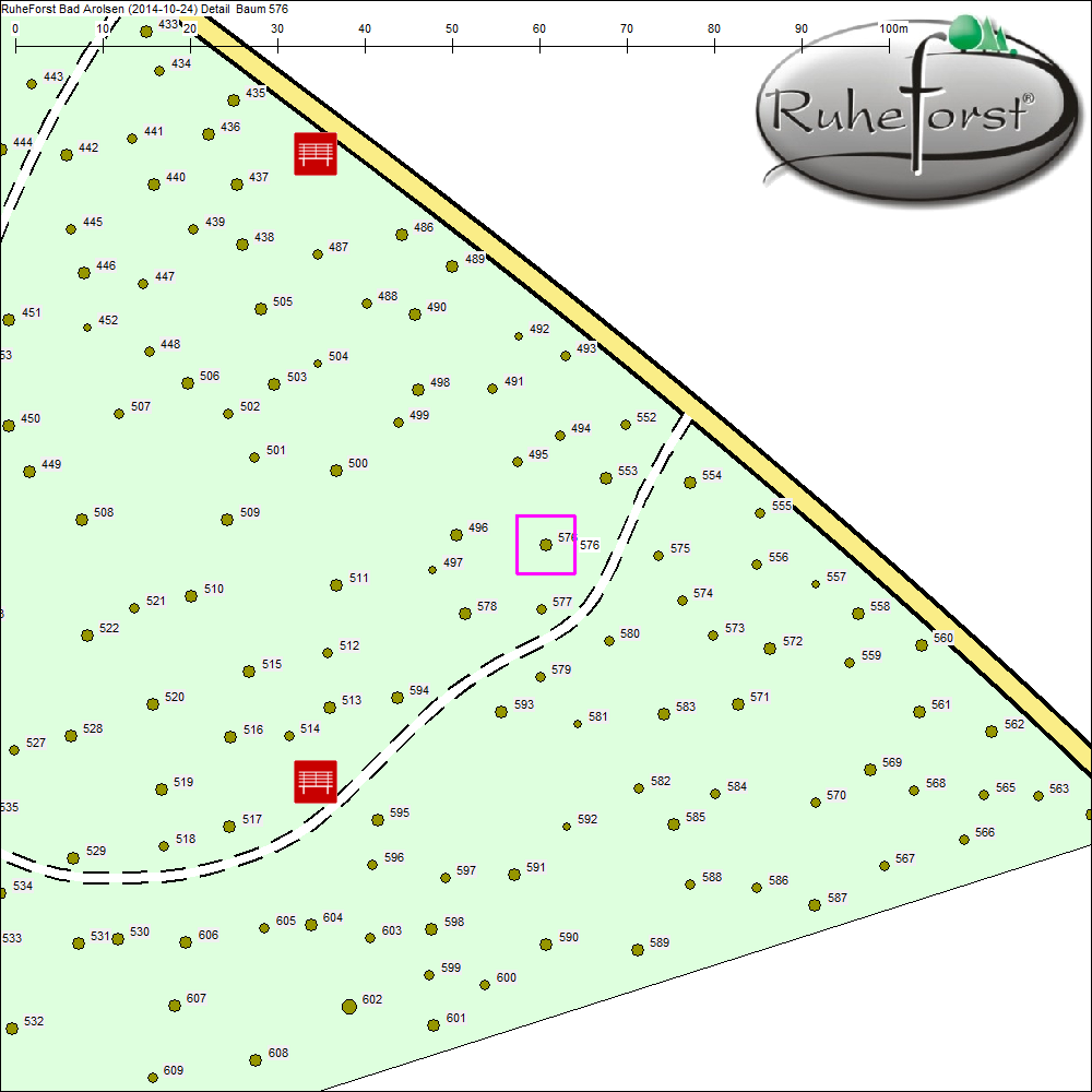 Detailkarte zu Baum 576