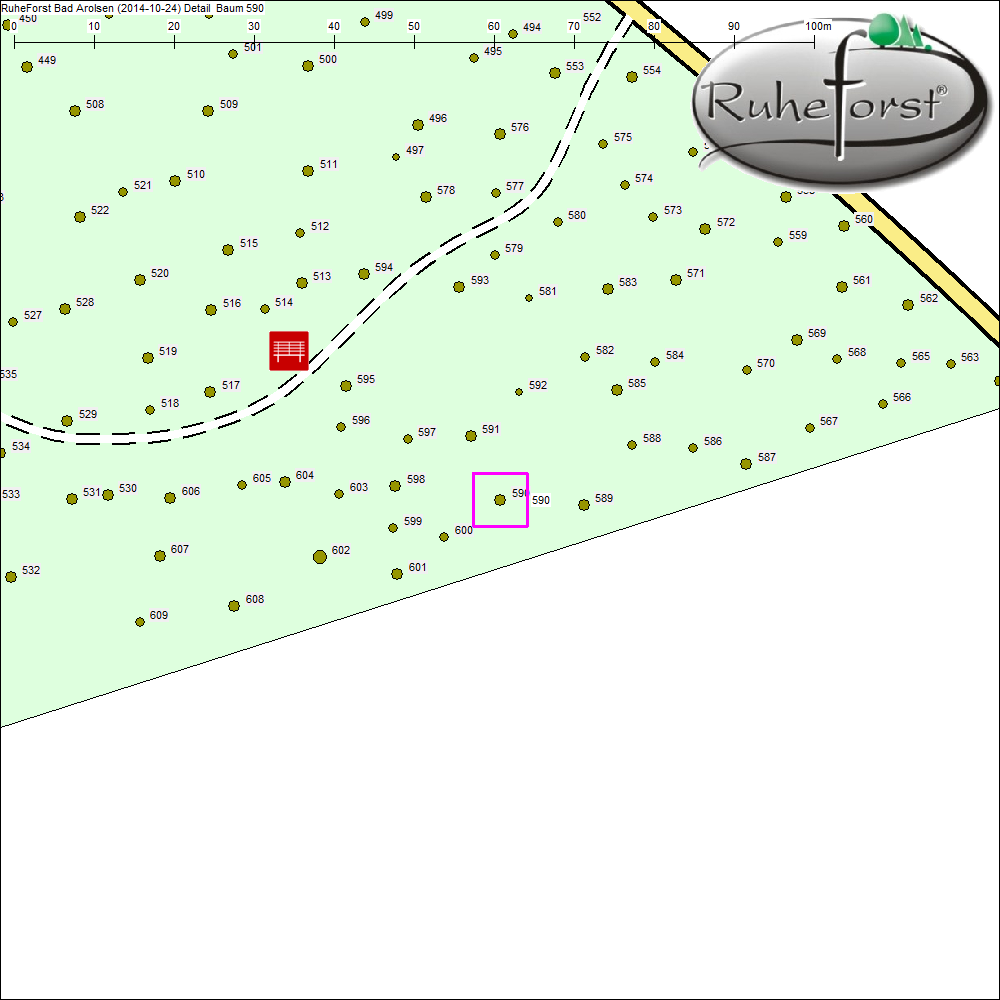 Detailkarte zu Baum 590