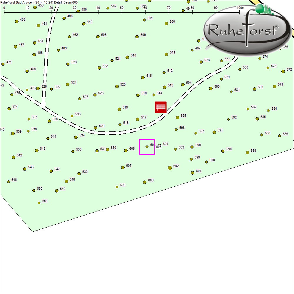 Detailkarte zu Baum 605